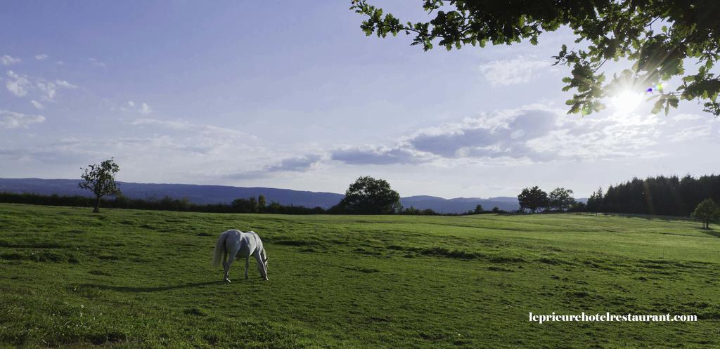 Domaine Le Prieure Hotel Chaumont-le-Bourg Bagian luar foto